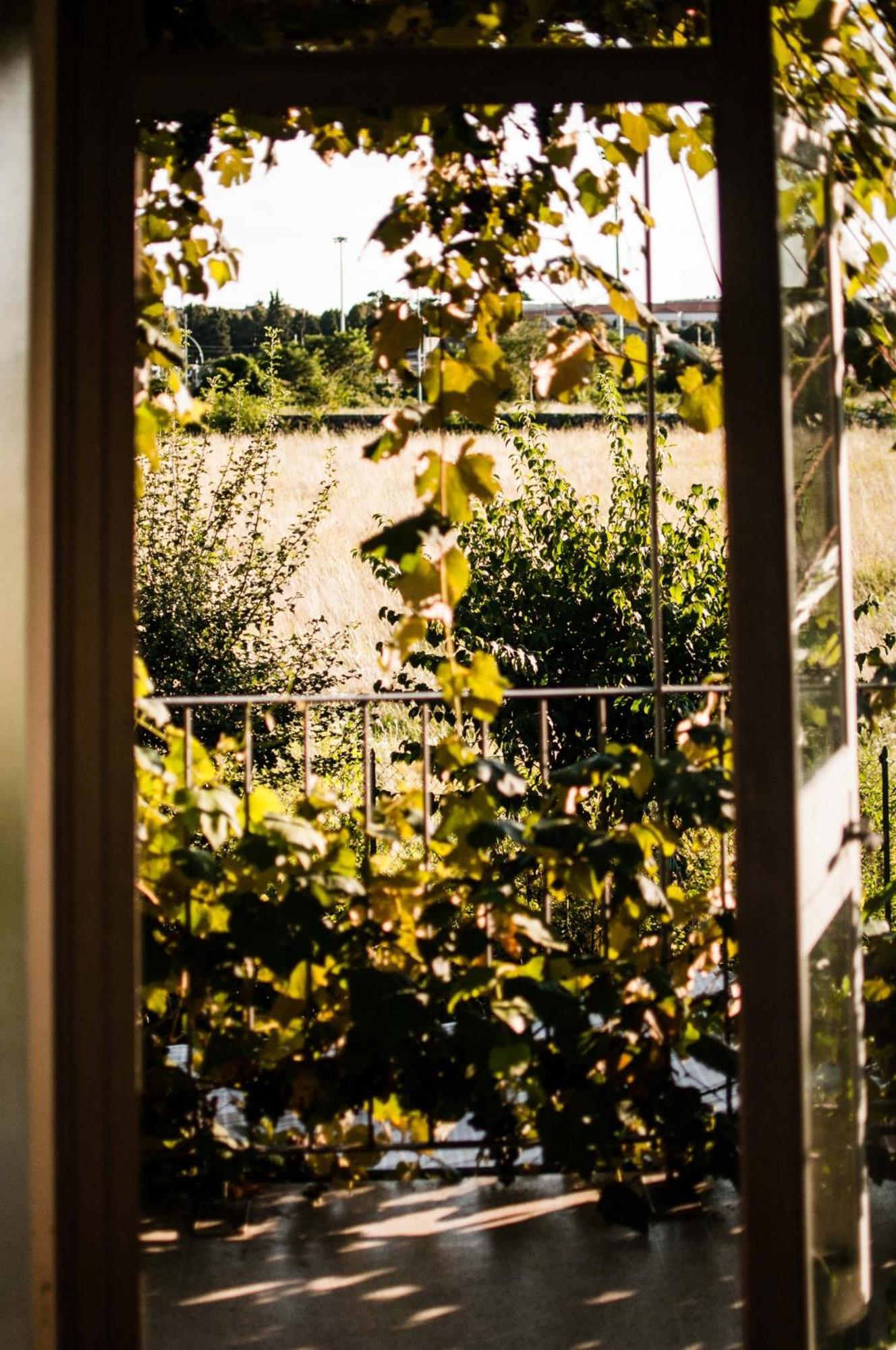 Buonocore Guesthouse Μπέργκαμο Εξωτερικό φωτογραφία